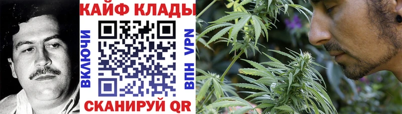 Купить наркотик аптеки Питкяранта Псилоцибиновые грибы  A-PVP  Каннабис  Мефедрон  Cocaine 