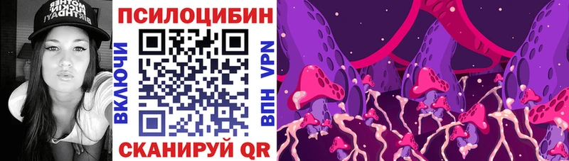 darknet наркотические препараты  цена   Питкяранта  Галлюциногенные грибы ЛСД 