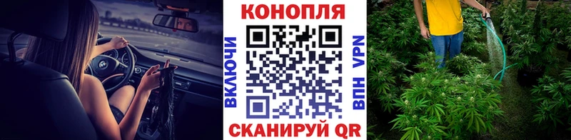 купить наркотики сайты  Питкяранта  МАРИХУАНА тримм 